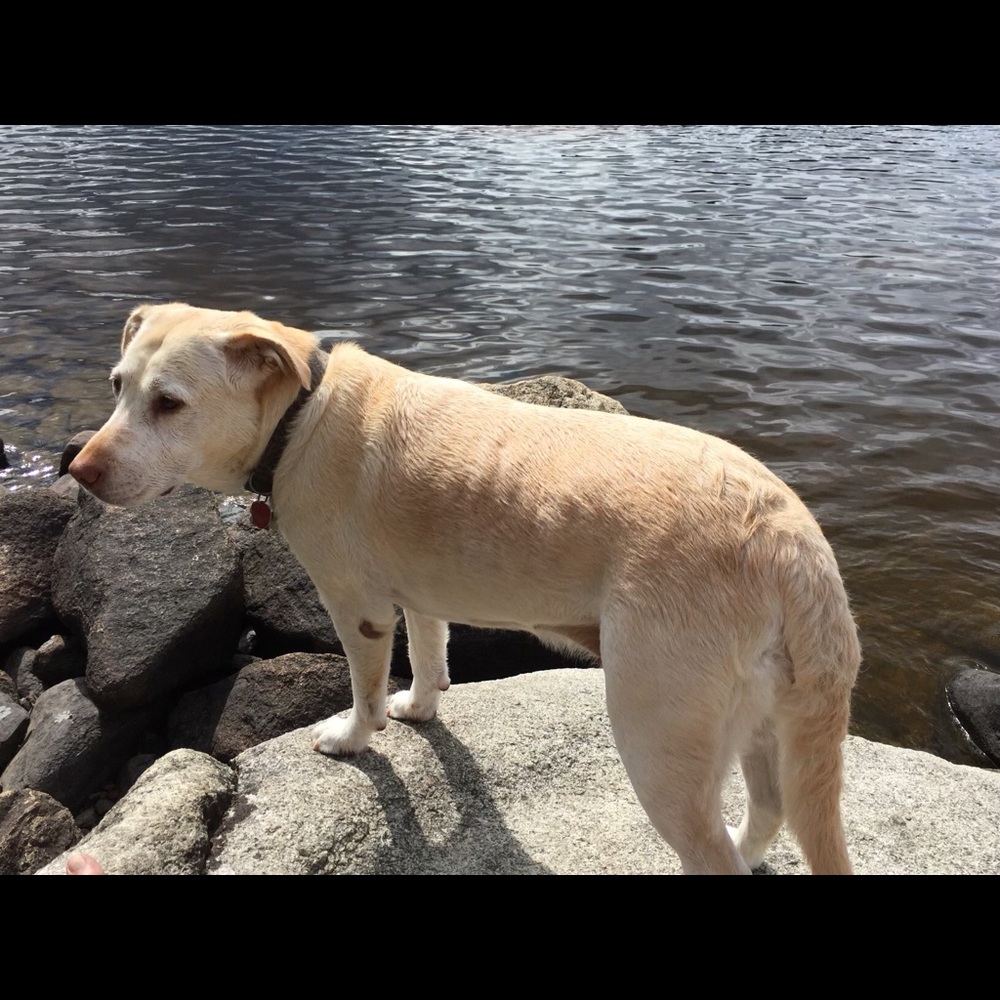 Meet your Posher, Maegan